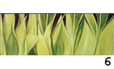 Bild 5 Dezign kunsttrykk Hvit tulipan